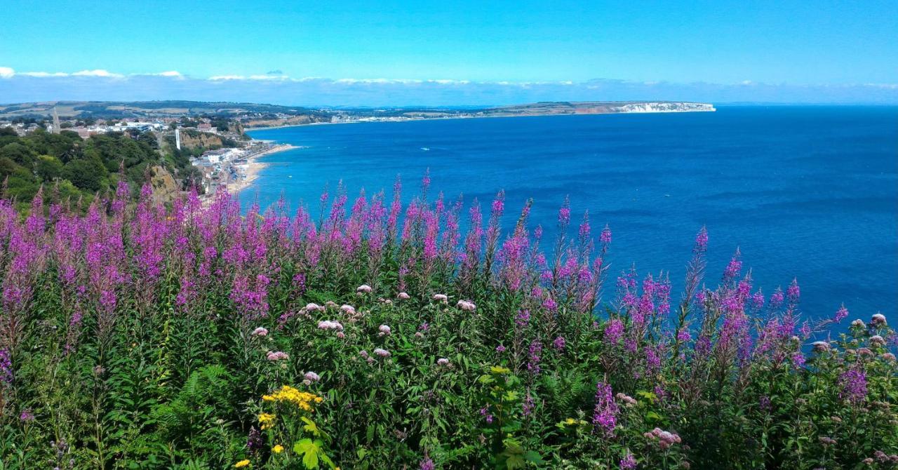 Holiday home Pure Relaxation At It's Finest, Offering Moments Of Harmony And Tranquillity - Sauna & Hot Tub Shanklin